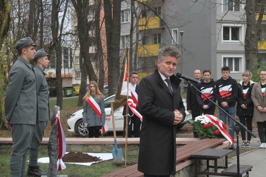 Dąb Niepodległości poświęcony przez papieża rośnie w Kielcach (WIDEO, zdjęcia)