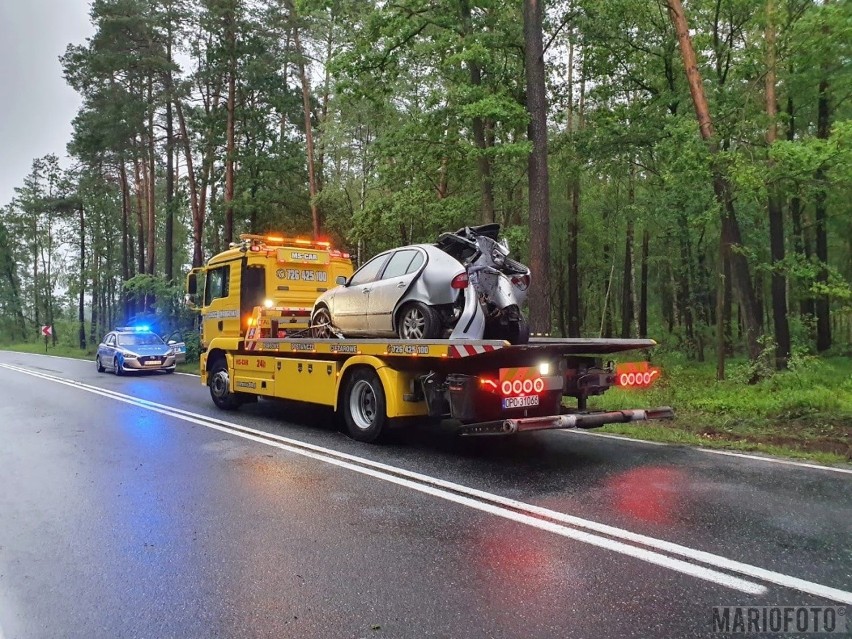 Seat owinął się na drzewie. Wypadek na drodze krajowej 45 w Jasieniu w powiecie kluczborskim