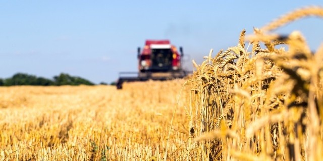 Od 1 września do 30 listopada 2020 r. w całej Polsce został prowadzony Powszechny Spis Rolny. 9 grudnia 2021 podczas konferencji zostaną omówione wstępne wyniki spisu oraz zaprezentowany potencjał małopolskiego rolnictwa.