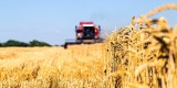 Powszechny Spis Rolny 2020 w województwie małopolskim. Wyniki poznamy już 9 grudnia 2021 roku