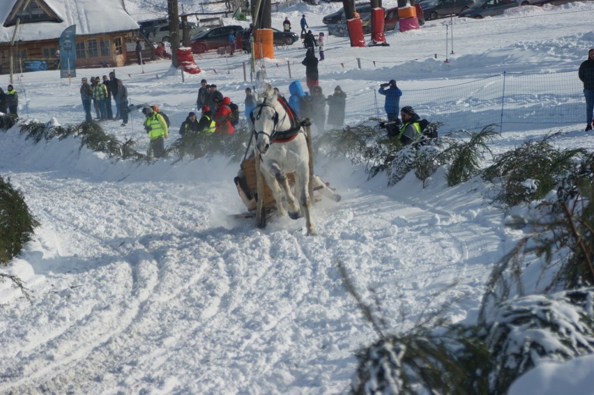 Kumoterki Zakopane 2018