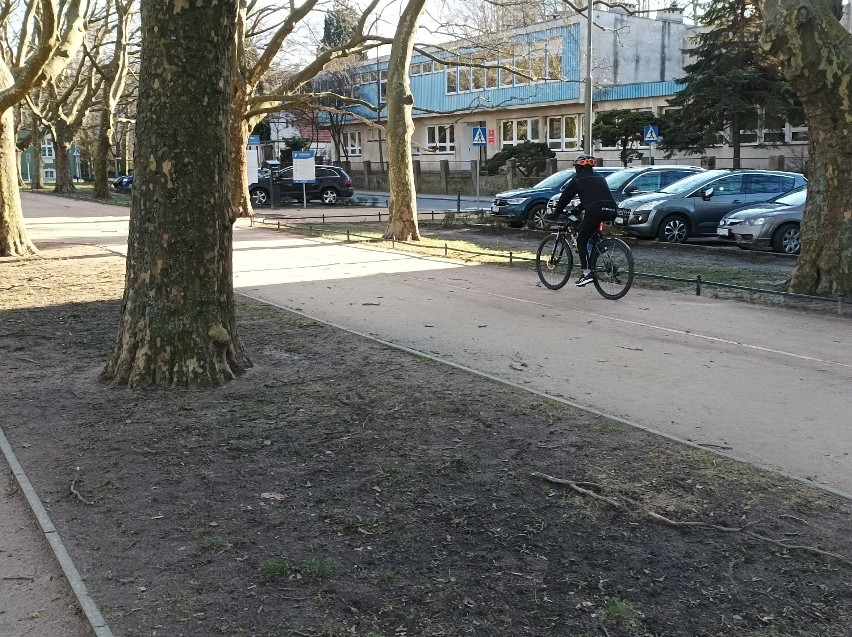 Mieszkańcy Szczecina korzystają ze słońca. Jasne Błonia pełne spacerowiczów [ZDJĘCIA]