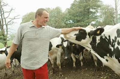 Marek Wróbel kocha krowy jak własne dzieci. A one tę miłość odwzajemniają przywiązaniem