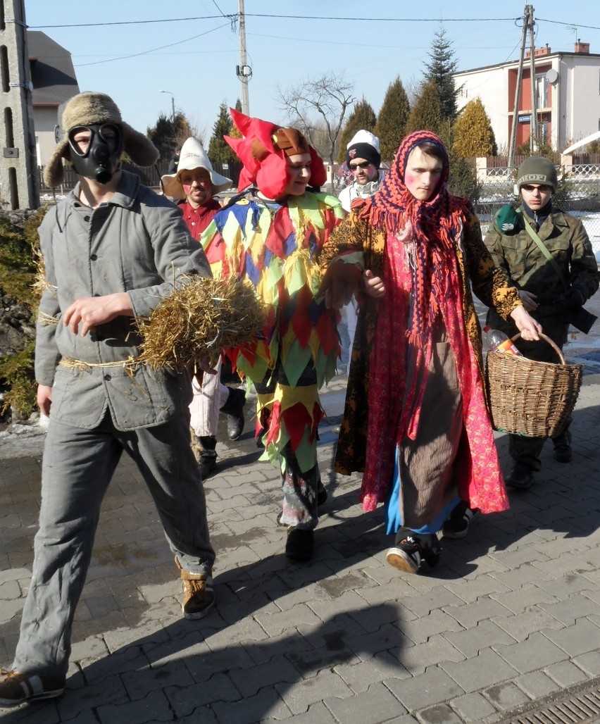 Wodzenie Niedźwiedzia w Babienicy