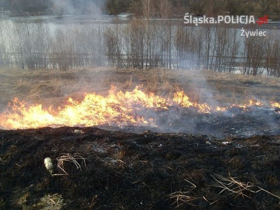 Pożar traw w Węgierskiej Górce, kobieta doznała obrażeń ciała