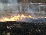 Węgierska Górka: Kobieta rozpaliła ognisko, ale nie opanowała ognia. Prawie zginęła, próbując gasić pożar
