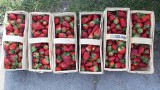 Ceny truskawek 2020. Owoce można już kupić na ulicznych straganach w Opolu. Ile kosztują?