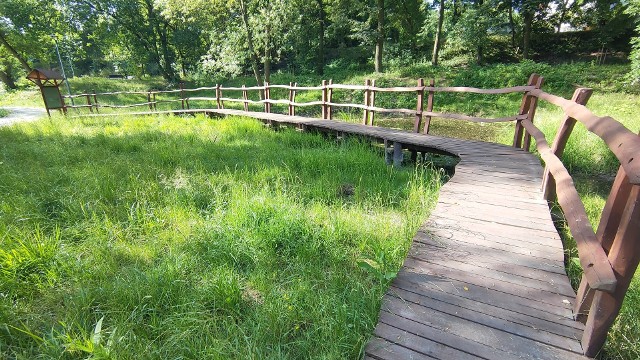 Park Krakowska w Będzinie poleca się na spacery i letni wypoczynekZobacz kolejne zdjęcia/plansze. Przesuwaj zdjęcia w prawo naciśnij strzałkę lub przycisk NASTĘPNE