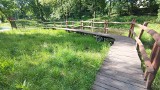 Park Krakowska w Będzinie poleca się na wakacyjne spacery. Zaciszne miejsce, place rekreacyjne, zjeżdżalnia dla maluchów 