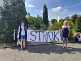 W Lubsku strajkują. Dziewięćdziesiąt kobiet ze spółki W&W Polska walczy o podwyżki