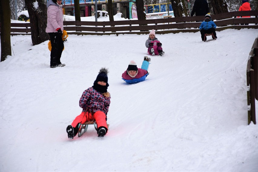 Rybnik. Saneczkarze opanowali Park Wiśniowiec. Są też...