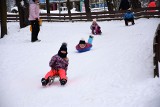 Saneczkarze w Rybniku opanowali Park Wiśniowiec. Są też snowboardziści