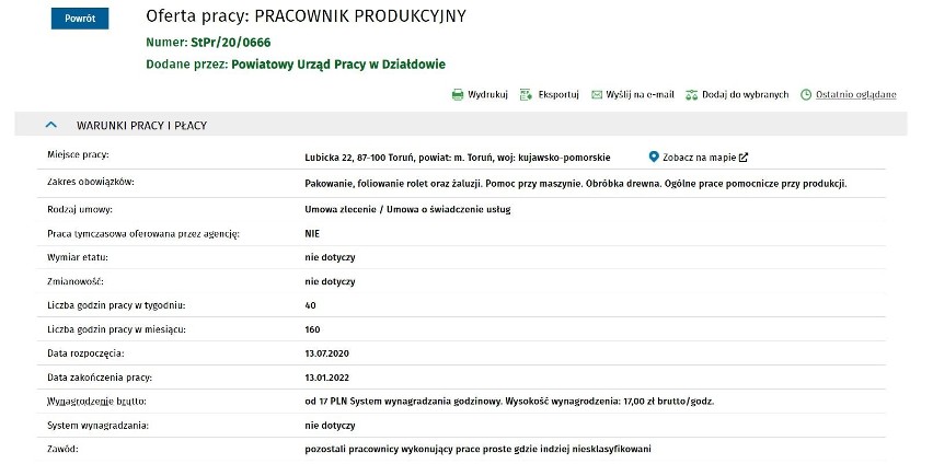 Najnowsze oferty pracy w Toruniu. Tu szukają pracowników