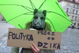 "Sto lat, niech ryją, ryją nam!" We Wrocławiu odbył się protest w obronie dzików (FILM, ZDJĘCIA)