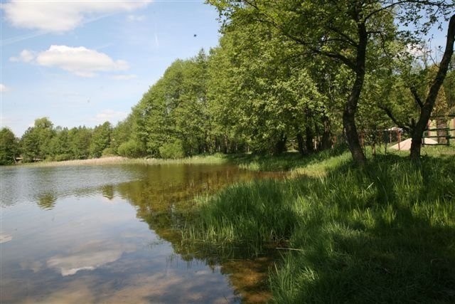 Jezioro Łąkie w powiecie lipnowskim