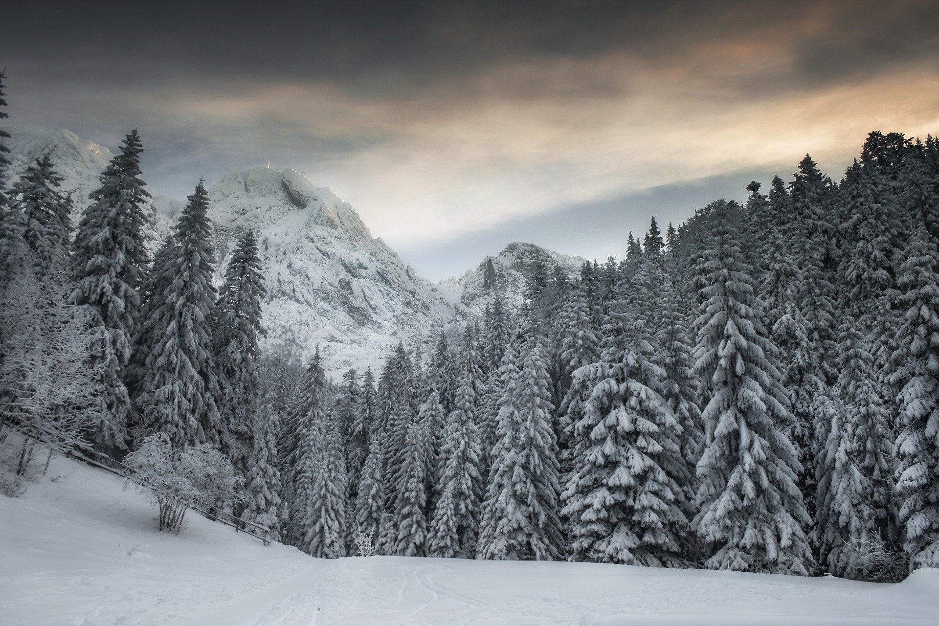 Polskie góry zimą zobaczcie zachwycające krajobrazy Kurier Poranny