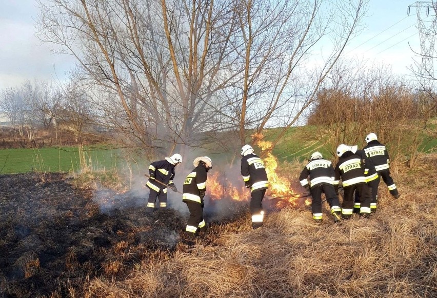 Ochotnicza Straż Pożarna w Topoli - Jednostką OSP Roku 2019 w powiecie kazimierskim [ZDJĘCIA]