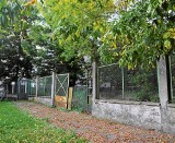 W Łobzowie tej jesieni będzie powstawał nowy krakowski park