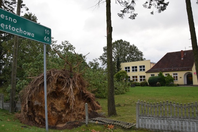 Orkan Ksawery narobił szkód również w powiecie kluczborskim - Chudoba.