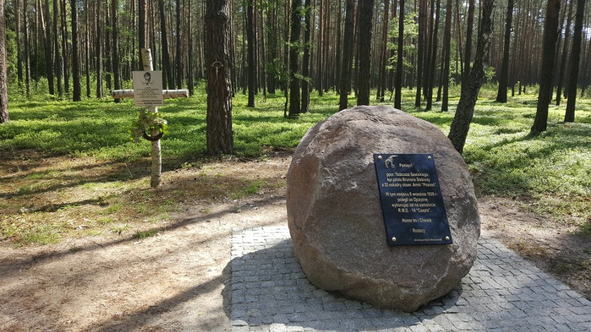 Nadleśnictwo Poddębice | Obelisk upamiętniający upadek samolotu RWD Czapla i śmierć pilotów z 33 Eskadry Obserwacyjnej Armii „Poznań” 