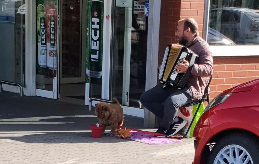 Obcokrajowcy żebrali pod marketami w Gubinie i...