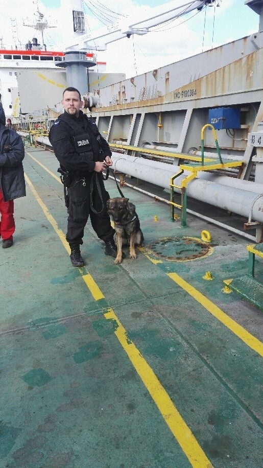 Akcja policji w stoczni. Pies wytropił przestępcę seksualnego