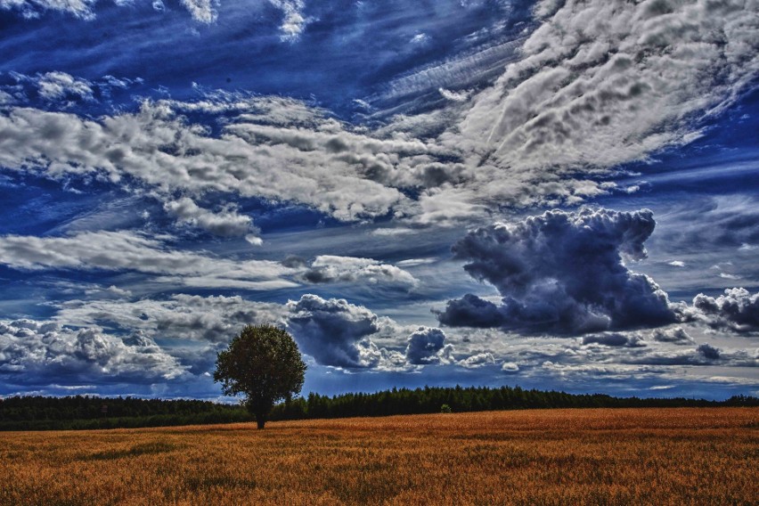 Zobacz piękne zdjęcia, których tematem jest Orzyc. Autorem fotografii i wielkim fanem rzeki jest Maciej Jóźwiak