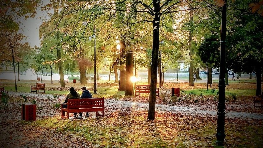 Zdjęcia jesieni Czytelników Dziennika Łódzkiego