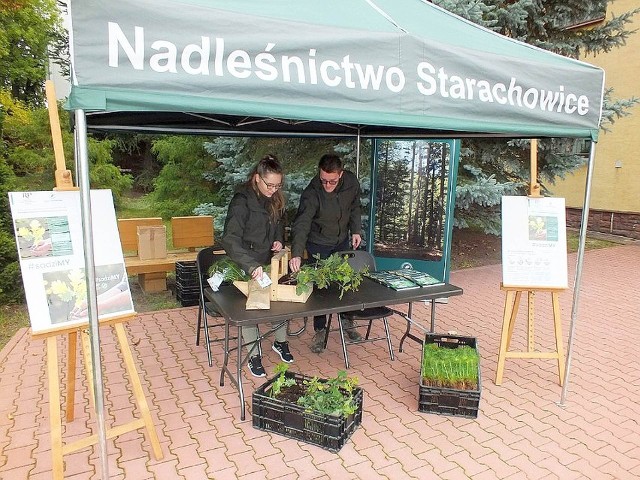 Podczas ubiegłorocznej akcji rozdawania drzewek w Starachowicach.