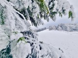 Muszyna. Piękna zima w Beskidzie Sądeckim. Śnieg i mróz tworzą niepowtarzalny klimat [ZDJĘCIA] 15.12