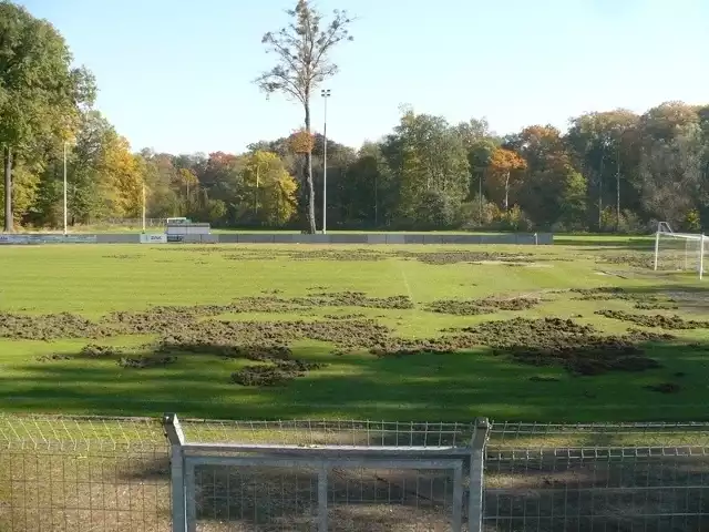 Znaczna część murawy nie nadaje się do gry.