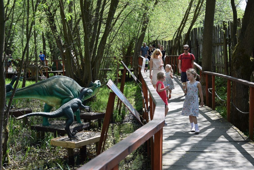 Z zimowego snu obudziły się dinozaury w Zatorlandzie. Dołączył do nich największy jaki żył i jaki wybudowano na świecie [ZDJĘCIA, WIDEO] 