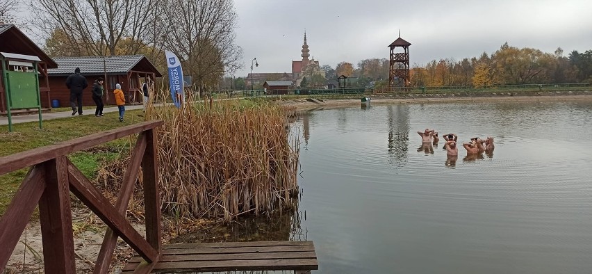 Koprzywnickie morsy rozpoczęły sezon. Zapraszają do wspólnego zanurzania w zalewie i czekają na spadek temperatury [ZDJĘCIA]   