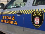 W Radomiu dwóch nastolatków pobiło rówieśnika przy ulicy Kolberga. Bójkę zauważył strażnik miejski, który zatrzymał obu napastników 
