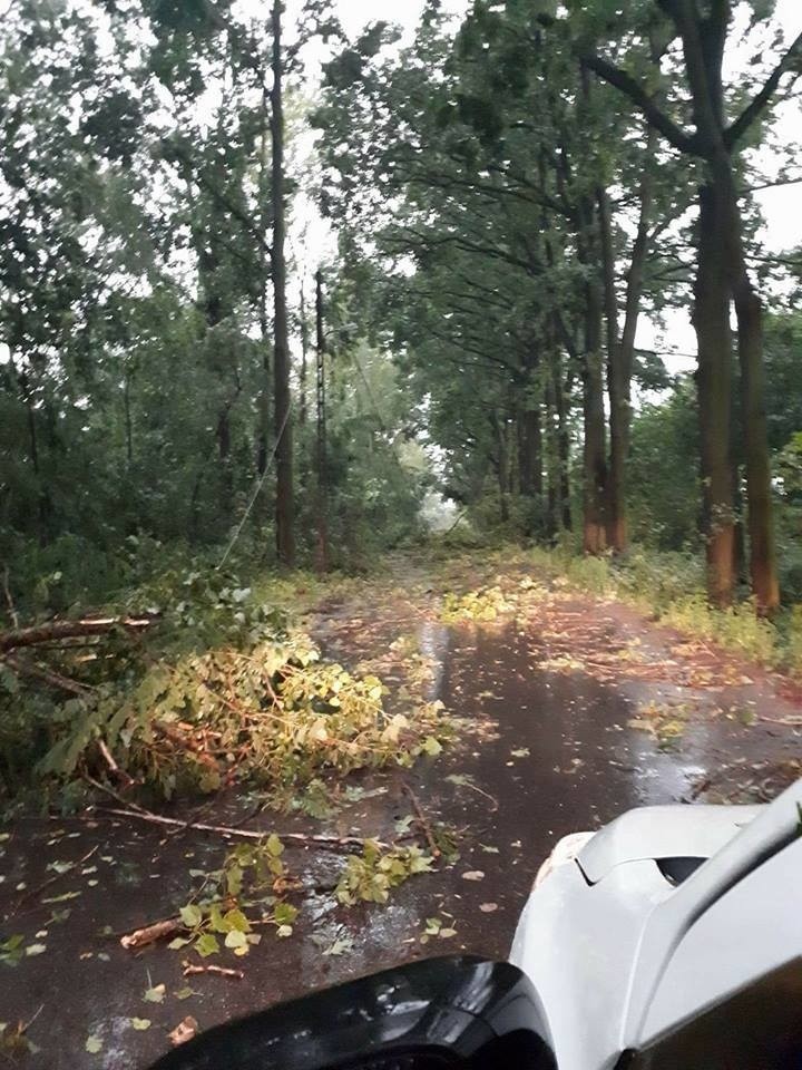 Burza w Łodzi. Nawałnica nad Łodzią. Powalone drzewa, gałęzie na drogach, zalane ulice [ZDJĘCIA]