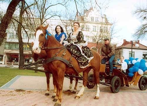 Te konie miały trafić do rzeźni. 8  bm.  można było zobaczyć je w znakomitej formie na Rynku