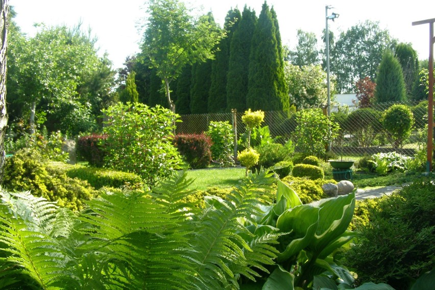 Jeden z nagrodzonych ogrodów w gminie Solec Kujawski