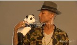 Pharrell Wiliams wyda książkę dla dzieci