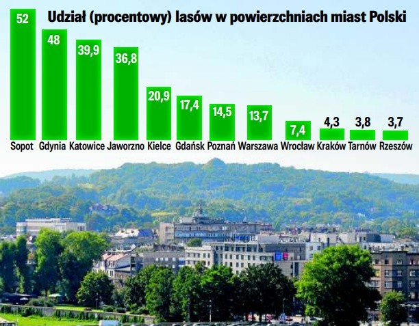 Największy w Krakowie jest Las Wolski, który zajmuje 419 ha. Łącznie w całym mieście mamy 1431 ha terenów leśnych