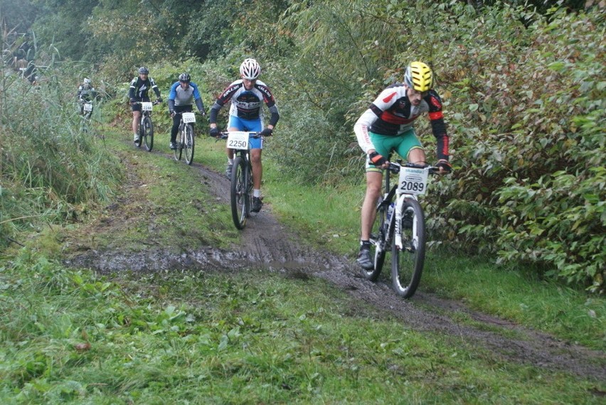 Skandia Maraton Lang Team w Dąbrowie Górniczej