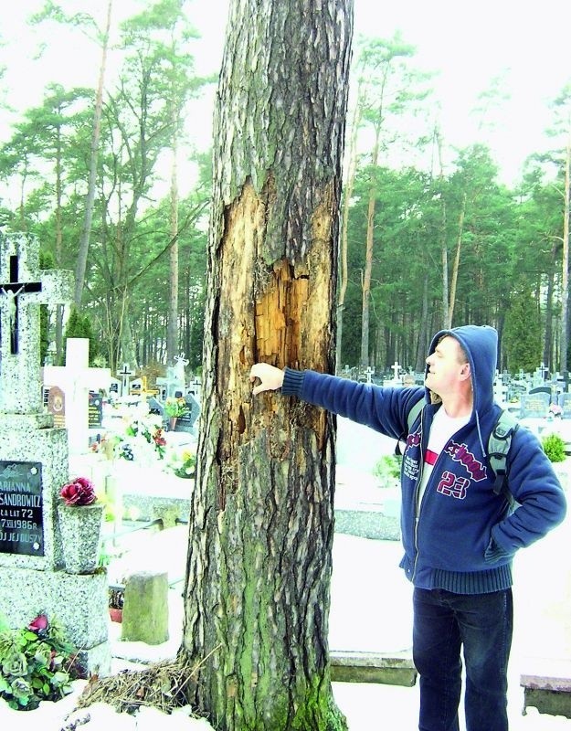 Przecież to drzewo jest zupełnie puste w środku - mówi Piotr Pycz z Augustowa. - Szkoda, żeby spróchniałe zabytki zagrażały życiu ludzi i niszczyły nagrobki.