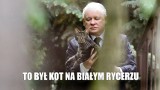 Jarosław Kaczyński znów w rządzie. Wjechał do niego na kocie? Zobacz MEMY. Prezes PiS z tylnego fotela będzie kierował rządem?