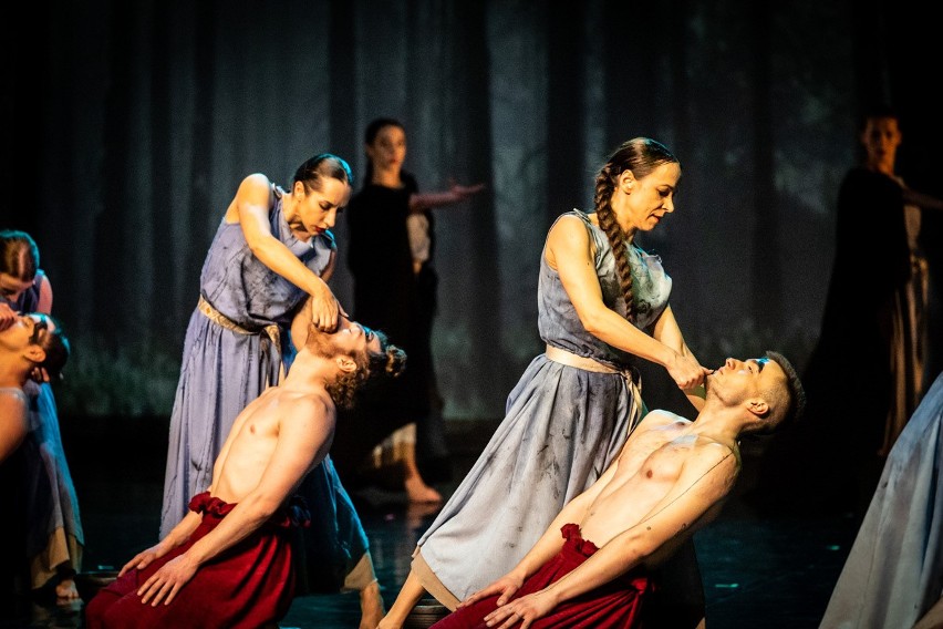 Gorące brawa za spektakl "Barbaricum" Kieleckiego Teatru Tańca. Zobacz zdjęcia
