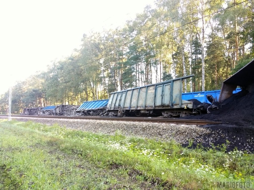 Wypadek pociągu na trasie Opole - Tarnów Opolski.