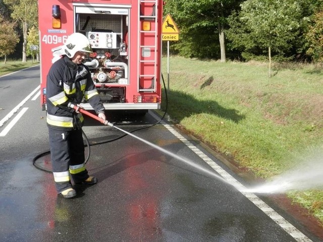 Samochód ciężarowy uderzył w sarnę na drodze krajowej nr 21 w Suchorzu