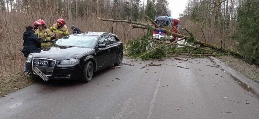 W miejscowości Nowosady drzewo spadło na samochód osobowy....