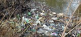 W rzece Koprzywiance pływa mnóstwo butelek - alarmuje internauta (zdjęcia)