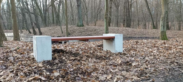 Nowe ławki w szprotawskim parku