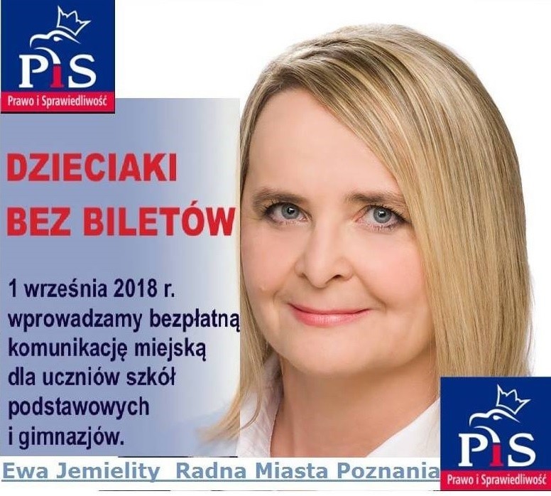 Internauci śmieją się z radnej PiS z Poznania: "Pomysłowość i kunszt obsługi Painta"