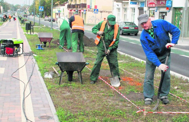 Wczoraj od rana pracownicy sadzili rośliny w alejach